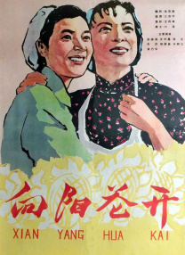 久久不卡
